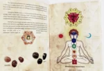 Journey Through The Chakras - Image 9